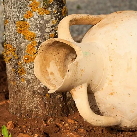 Vakantiehuis Caseta Son Morro