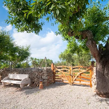 Caseta Son Morro Semesterbostad *