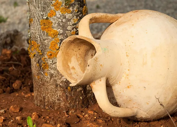 Nyaraló Caseta Son Morro